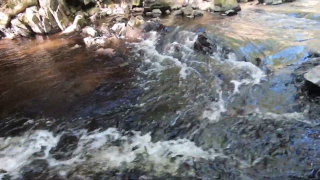 Celtic Fiddle Waterfall Cover - Emily's Wee Tune & Cooley's Reel by Nova Scotia Youth Ambassadors смотреть онлайн