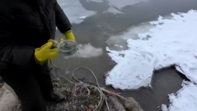 ВОТ ЭТО ПОКИДАЛИ! РЕАЛЬНЫЕ НАХОДКИ НА ПОИСКОВЫЙ МАГНИТ! Кладоискатель Белый Копатель смотреть онлайн