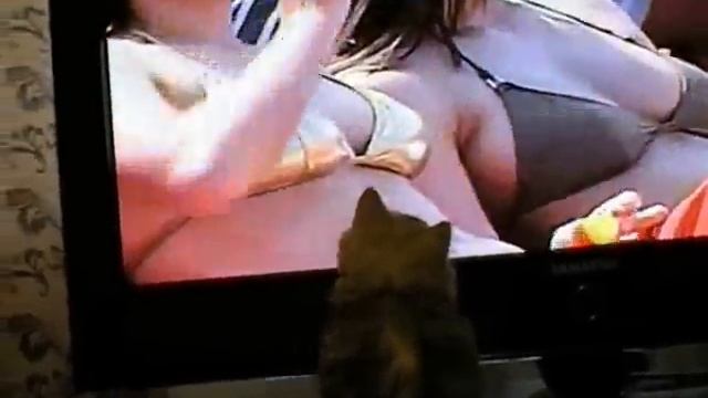 ВАСЬКА и девушки на пляже. смотреть онлайн