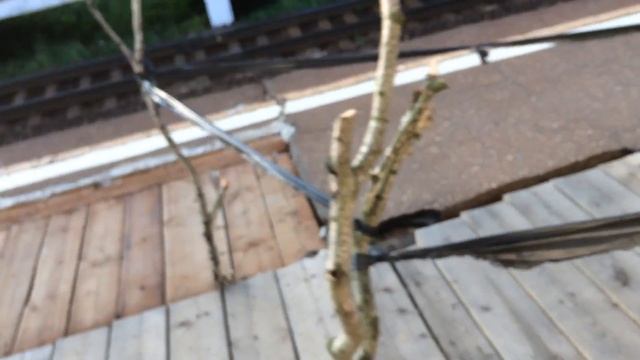 Ремонт от РЖД смотреть онлайн