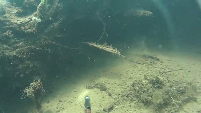 Подводная охота - очень чистая река смотреть онлайн