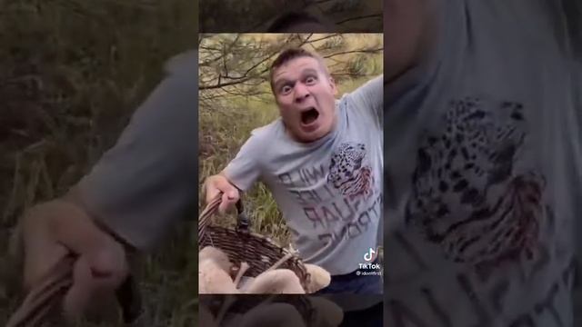 Волшебные грибы смотреть онлайн