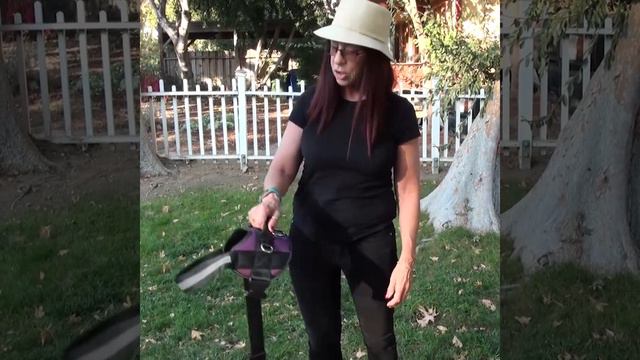 Review of Pug Life Harness смотреть онлайн