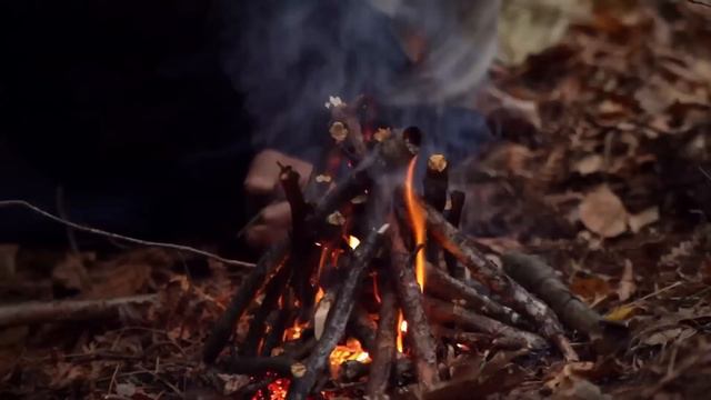 Мир дикой природы. Черниговское Полесье смотреть онлайн