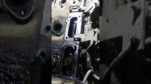 HATZ 3M41 не заводится