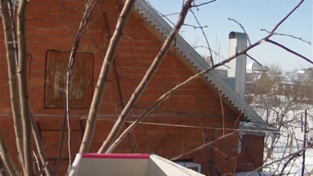 4 синички в кормушке смотреть онлайн