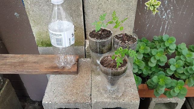 Reto al que fui invitado No. 2,  Diseñar macetas y muebles para un jardín pequeño o balcon