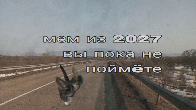 мем из 2027