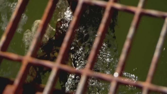 Fifth Gear: Kia Sportage Review смотреть онлайн