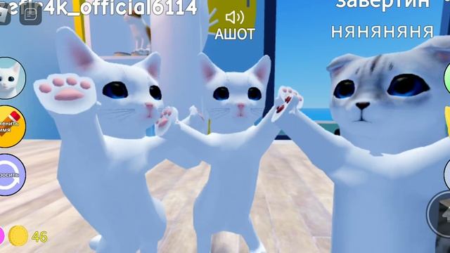 танцы кошаков смотреть онлайн