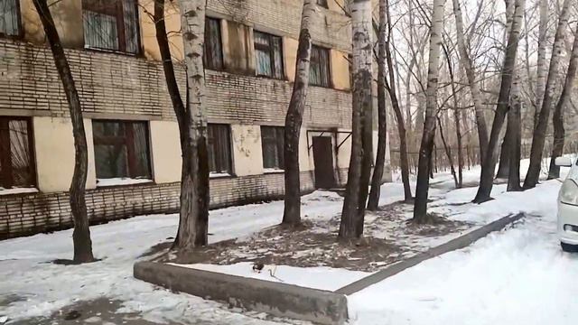 г. Хабаровск. II Хабаровск (ул.Машинистов и ул.Геодезическая), 19.02.2021 смотреть онлайн
