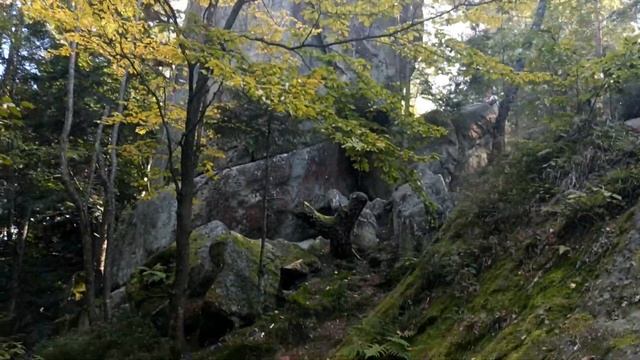 ⚡️СПАССКИЙ КАМЕНЬ | МЕСТО СИЛЫ ЛЬВОВСКОЙ ОБЛАСТИ | СОКОЛОВ КАМЕНЬ | СПАСЬКИЙ КАМІНЬ смотреть онлайн