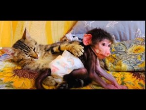 Люська ДОСТАЛА Марселя и он её НАКАЗАЛ!