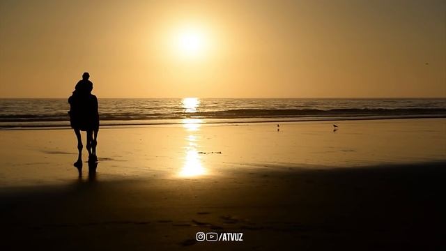 Тушда Илон Кӯрса Нималар Бӯлади! Батафсил Маълумот! ATVUZ