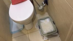 Лучший силикагелевый наполнитель для кошачьего лотка