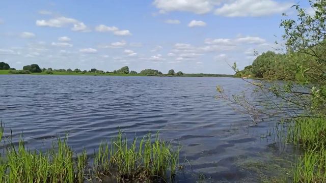 Жаркий летний день ☀️ у 🌊🌊 смотреть онлайн