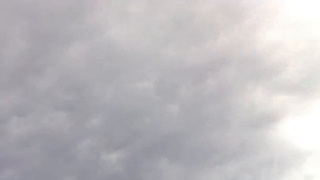puerto de montevideo смотреть онлайн
