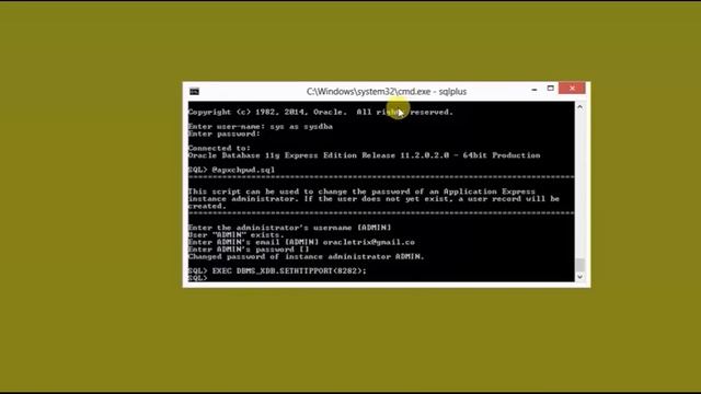Step by Step Installation of Oracle APEX 18.1 смотреть онлайн