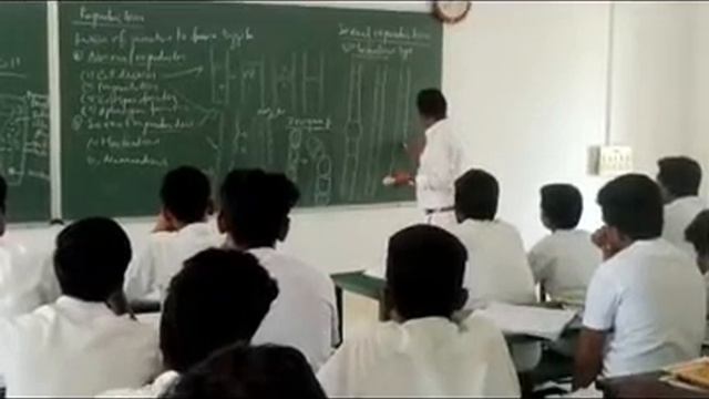 PART 3 Algae- Oedogonium смотреть онлайн