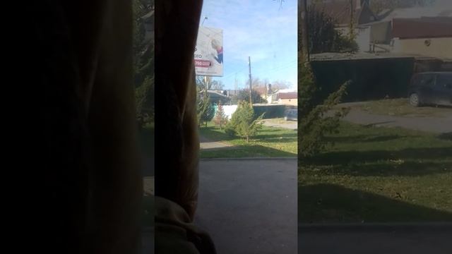 Mercedes-Benz О307 М 665 НР 61 смотреть онлайн