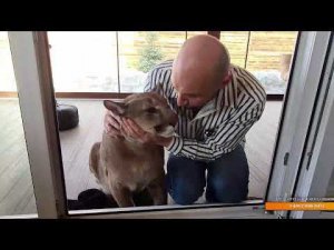 Прямой эфир.  Весна пришла! 3 апреля