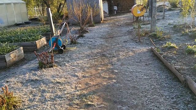 Главная опасность для рассады - заморозки! Испытания природы. смотреть онлайн