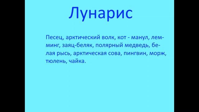 Все о Флоппакэте. Стихи, истории, обитатели. Всего за 4 минуты! смотреть онлайн