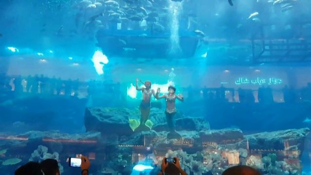 Дубайский аквариум.Шоу русалок.دبي أكواريوم.حورية البحر تظهر. смотреть онлайн