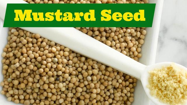 Master Spice Pronunciation In English: A Culinary Guide With LearningEnglishPRO