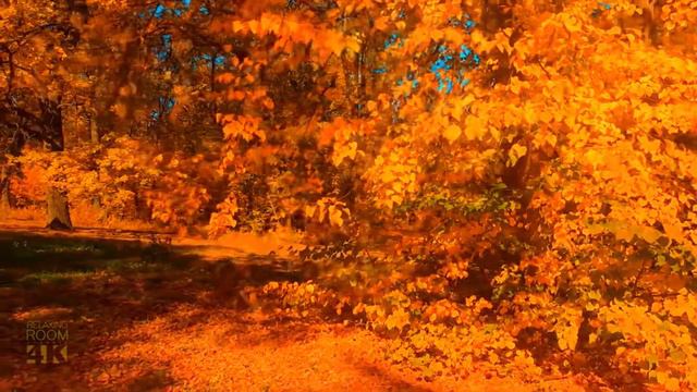 "Autumn leaves" фантазии на тему. Исполняет Олег Зацепин смотреть онлайн
