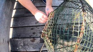 Рыбалка На Вентель(Мордушка Морда  Съездил На Дело За Берёзовыми Вениками