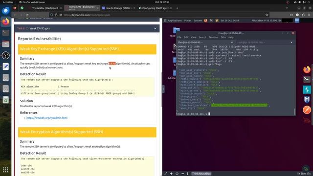 Bulletproof Penguin - TryHackMe - смотреть онлайн