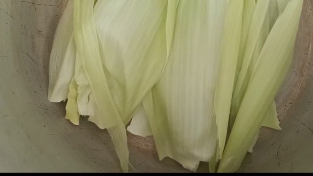 КУКУРУЗА. Как правильно варить Кукурузу?  - Жүгерінің ең дәмді пісіру жолы.