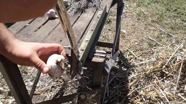 Как обрезать чеснок смотреть онлайн