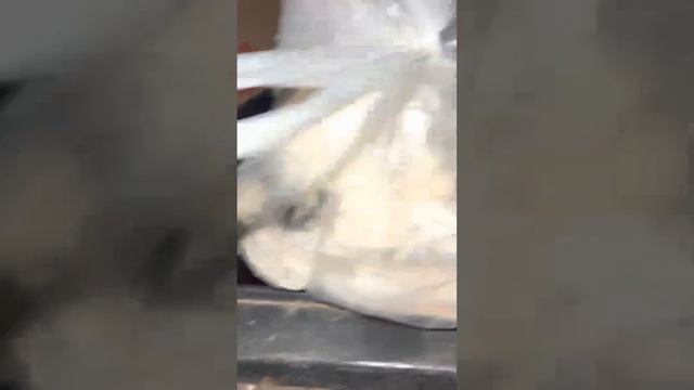 Варшавские черви в поисках найти золота на помойке смотреть онлайн