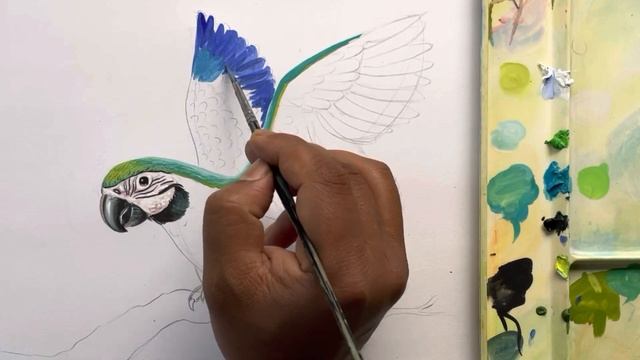 How to draw a macaw | Bird painting step by step in poster colour смотреть онлайн