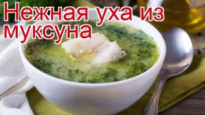 Рецепты из муксуна - как приготовить муксуна пошаговый рецепт - Нежная уха из муксуна за 70 минут