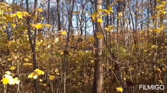 402. ?МОЛИТВА? смотреть онлайн