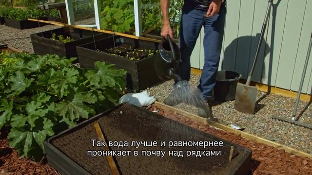 Эдриан Эванс: Выращиваем овощи или "Как создать огород?" смотреть онлайн