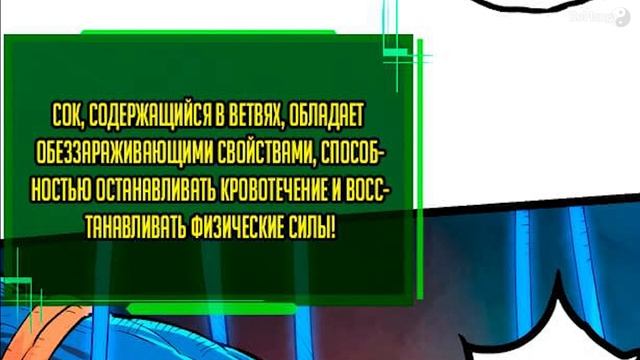 Моё перерождение в древо: Начало эволюции! | Озвучка Манхвы (1-5 главы) смотреть онлайн