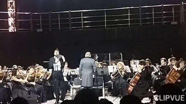 Губернаторский симфонический оркестр Санкт-Петербурга смотреть онлайн