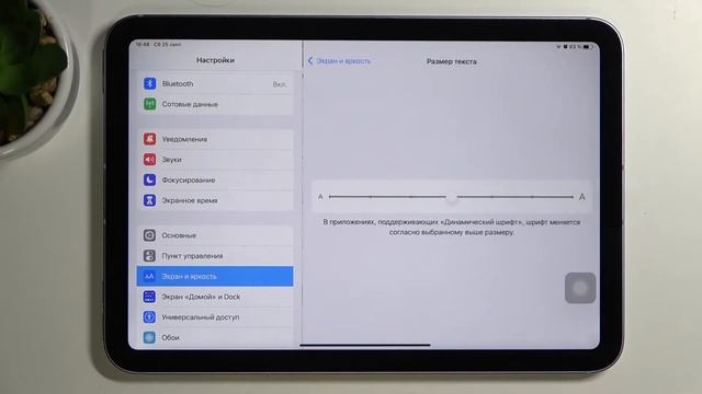 Как поменять размер текста на iPad Mini 6 2021 / Увелеченный шрифт iPad Mini 6 2021 смотреть онлайн