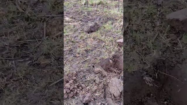 второй выход с QUEST Q20. смотреть онлайн