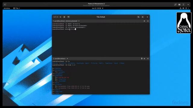 Como utilizar o MKDIR para criar diretório no Bash Terminal - Linux Fedora Canal Djobix de TI смотреть онлайн