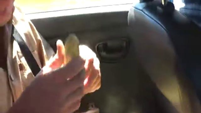 Бухие в Гавану) смотреть онлайн