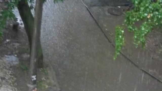 9 июня 2012 ул  Новикова Прибоя 26 Рязань Приокская Венеция