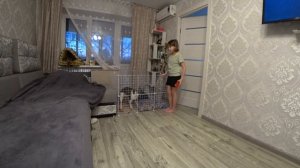 Путешествие до Мурманска,Чертково и Воронеж Часть 1