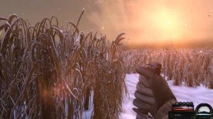 Первые минуты игры в STALKER Холодная кровь