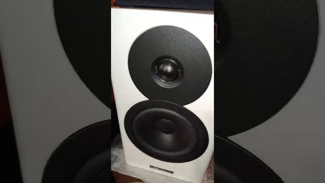 Dynaudio Evoke 10