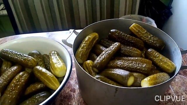Что делать если помутнел рассол в огурцах? Спасаем огурцы!!! смотреть онлайн